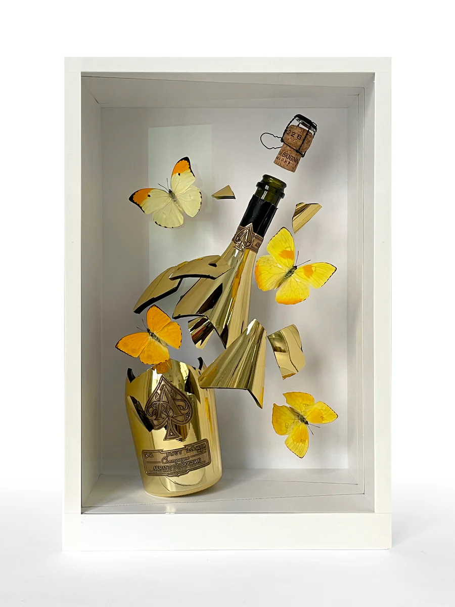 New on view